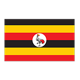 Nation