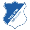 TSG 1899 Hoffenheim Badge