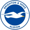 Brighton & Hove Albion Badge