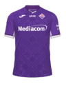 Fiorentina Kit