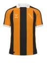 Hull City Kit