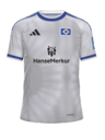 Hamburger SV Kit