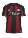Bayer 04 Leverkusen Kit