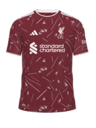 Liverpool Kit