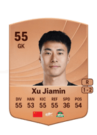 Xu Jiamin FUT card