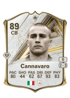 Fabio Cannavaro FUT card