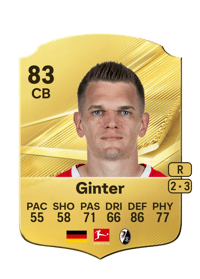 Matthias Ginter