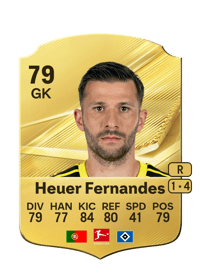 Daniel Heuer Fernandes