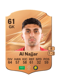 Raghid Al Najjar