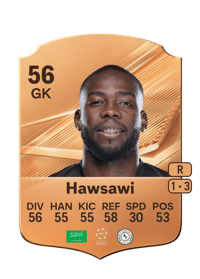 Abdulbasit Hawsawi
