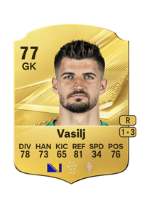 Nikola Vasilj