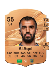 Mohammed Al Aqel