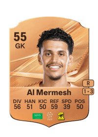 Osama Al Mermesh