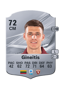 Gvidas Gineitis