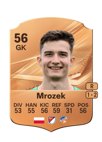 Fabian Mrozek