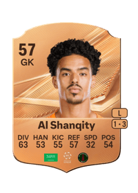 Hamed Al Shanqity