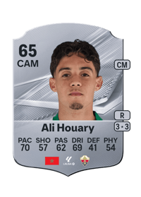 Ali Houary