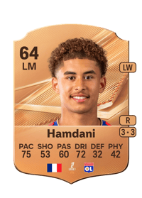 Adil Hamdani