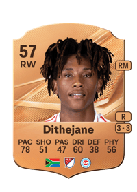 Puso Dithejane