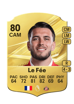 Carte de Enzo Le Fée