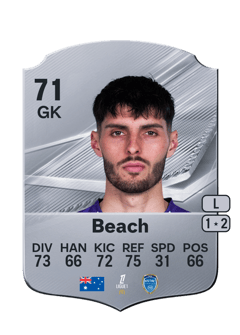 Carte de Patrick Beach