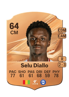 Carte de Selu Diallo