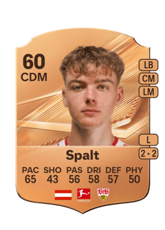 Carte de Yanik Spalt