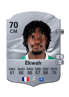 Carte de Pierre Ekwah