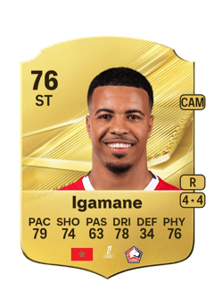 Carte de Hamza Igamane