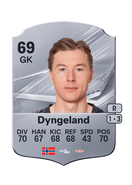Carte de Mathias Dyngeland