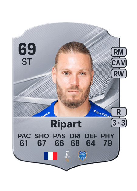 Carte de Renaud Ripart