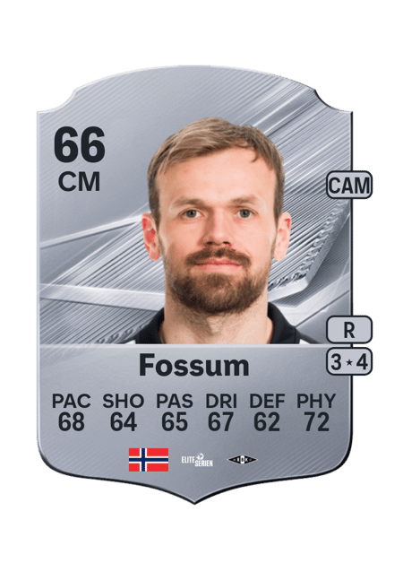 Carte de Iver Fossum