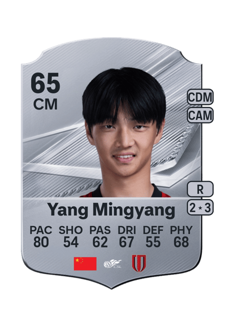 Carte de Yang Mingyang