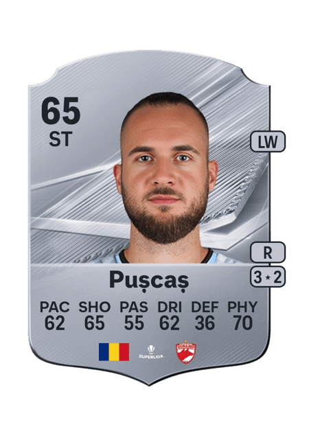 Carte de George Pușcaș