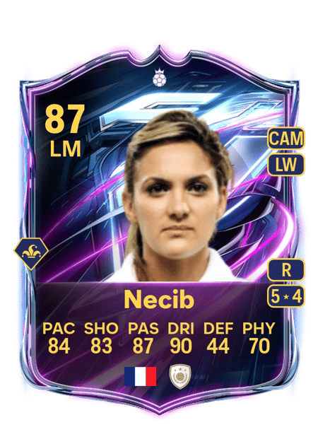 Carte de Louisa Necib