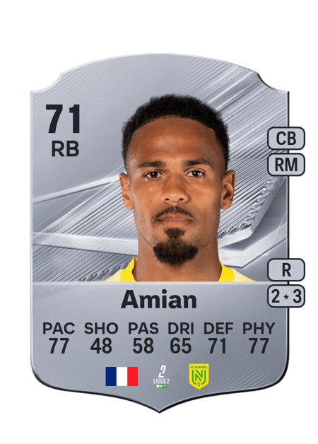 Carte de Kelvin Amian