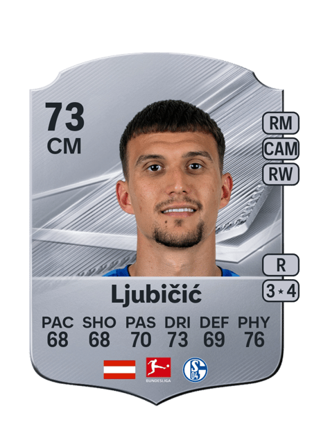 Carte de Dejan Ljubičić
