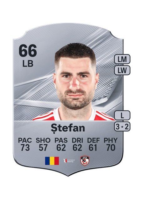 Carte de Florin Ștefan
