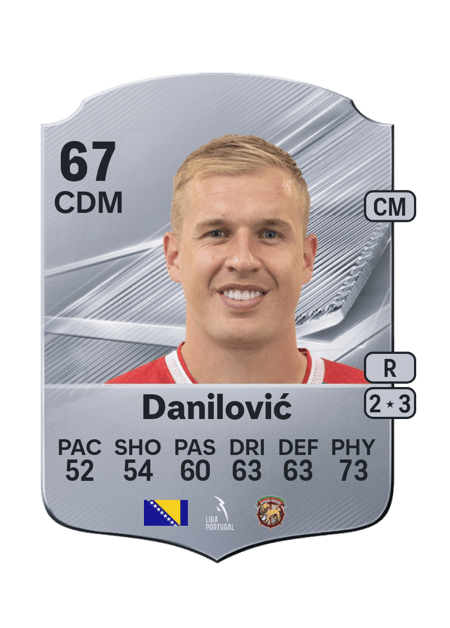 Carte de Vladan Danilović