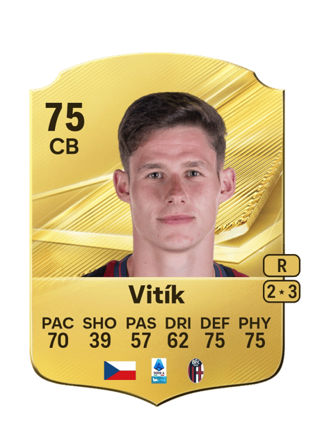 Carte de Martin Vitík