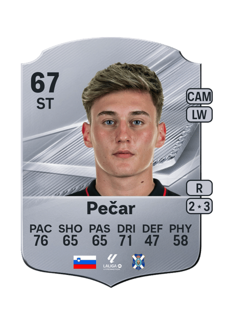 Carte de Martin Pečar