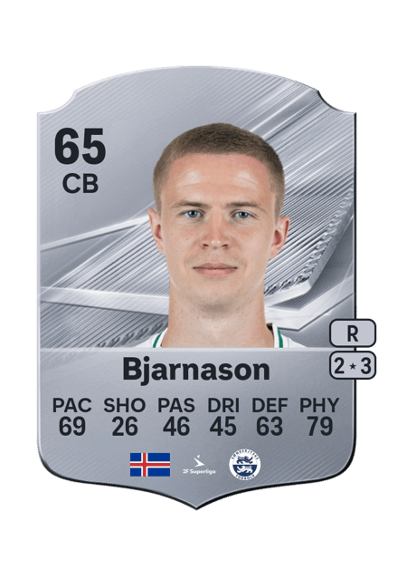 Carte de Brynjar Ingi Bjarnason