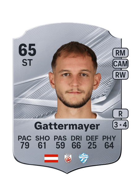 Carte de Angelo Gattermayer