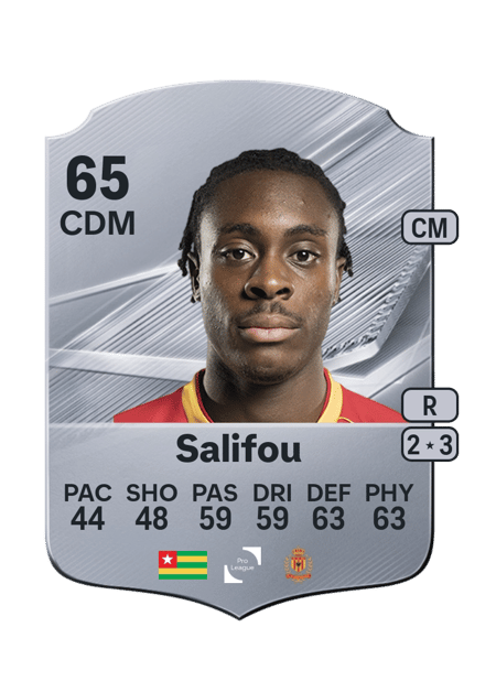 Carte de Dikeni Salifou
