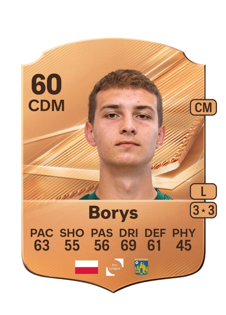Carte de Karol Borys