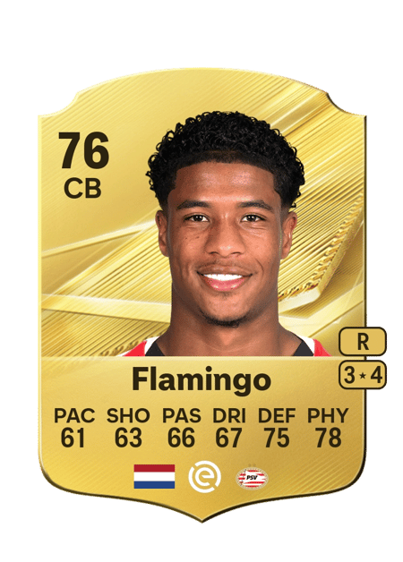 Carte de Ryan Flamingo