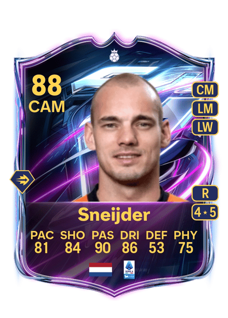 Carte de Wesley Sneijder