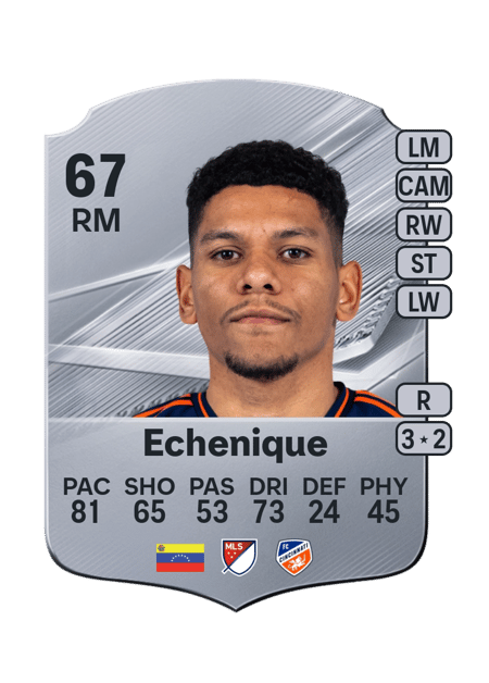 Carte de Ender Echenique