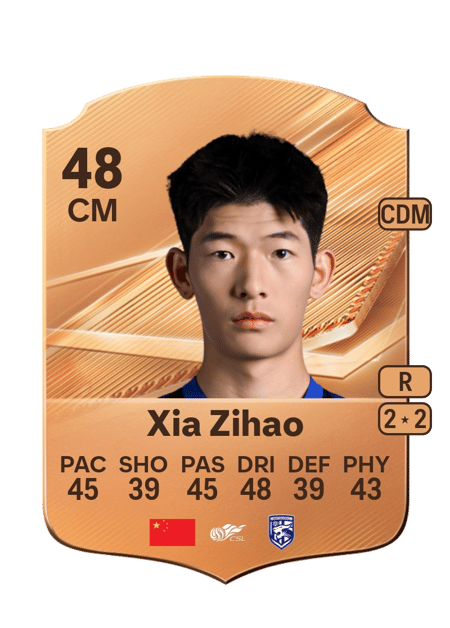 Carte de Xia Zihao