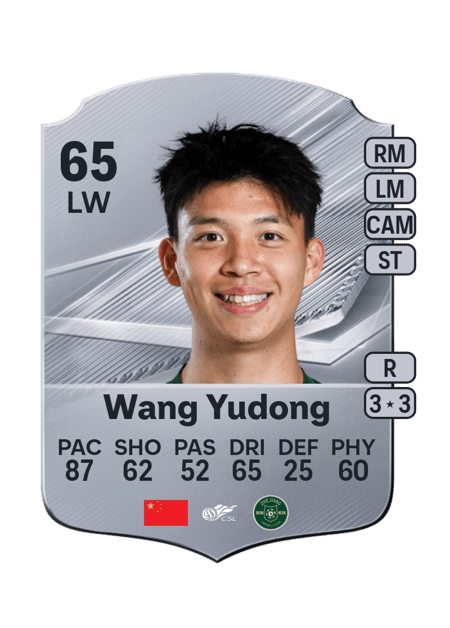 Carte de Wang Yudong